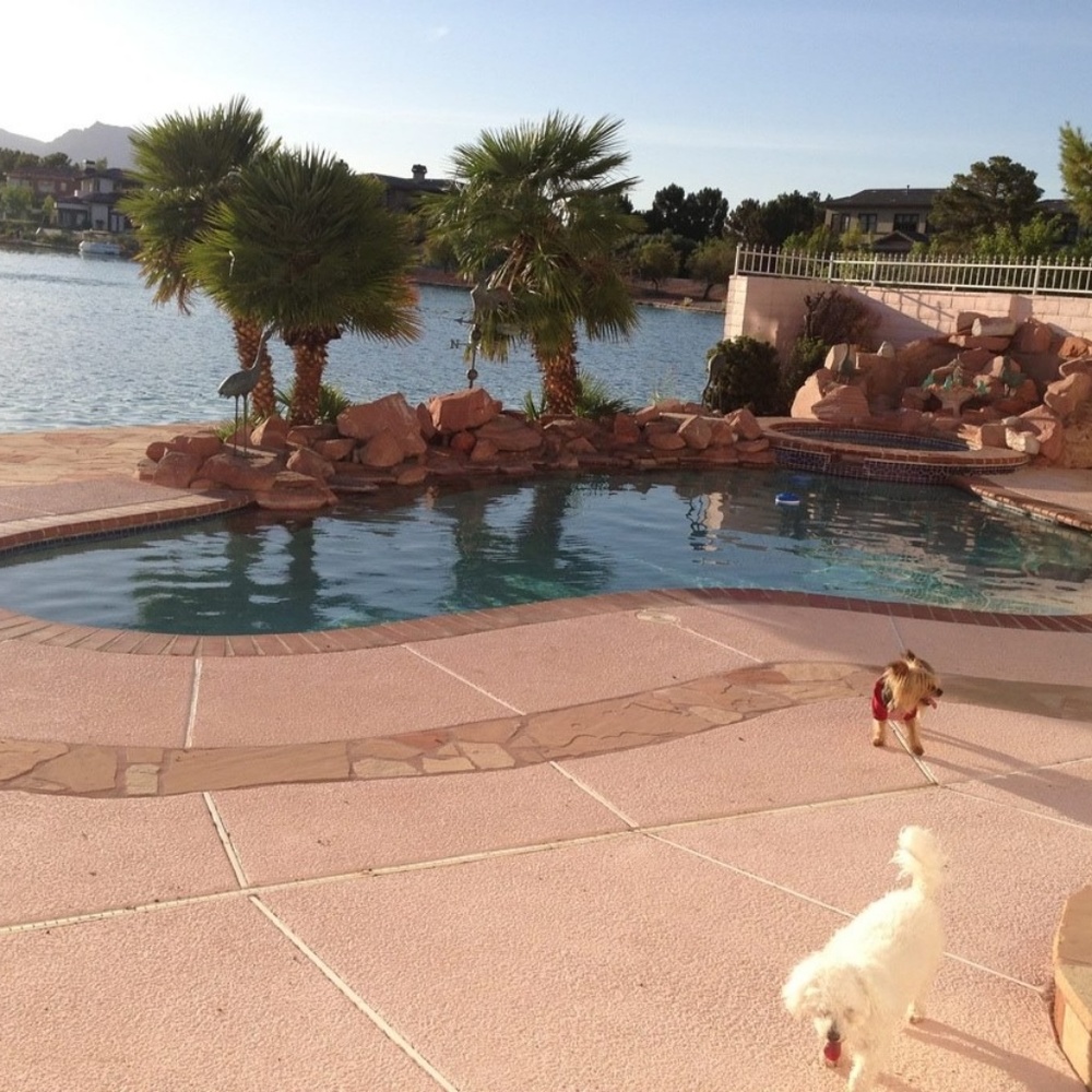 Meet your Posher, FluffyGemzSmokey